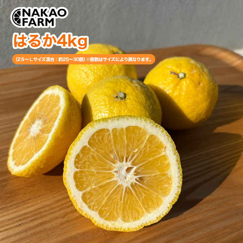 【産直商品】はるか4kg　中尾農園