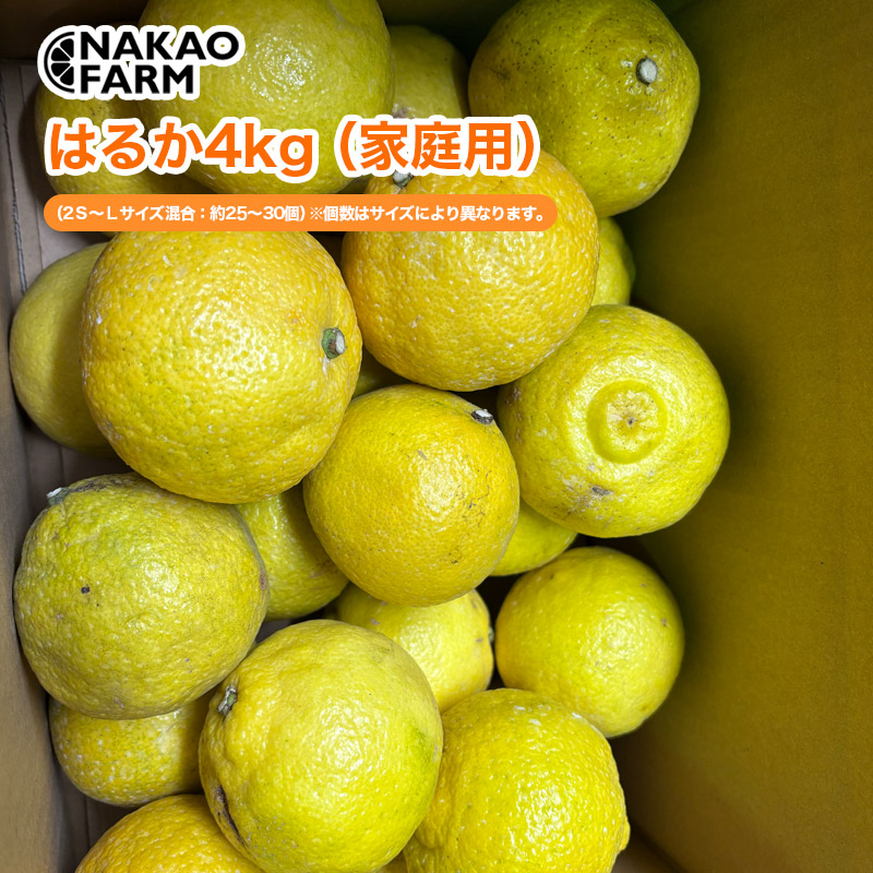 【産直商品】はるか4kg（家庭用）　中尾農園