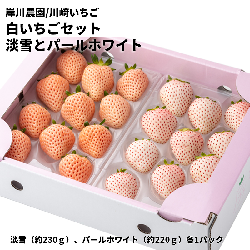 【産直商品】【直送】岸川農園+川﨑いちご　白いちごセット　淡雪とパールホワイト