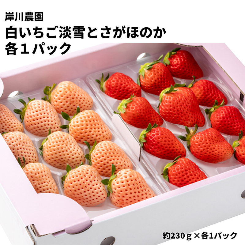 【産直商品】【直送】岸川農園　白いちご淡雪とさがほのか　各１パック