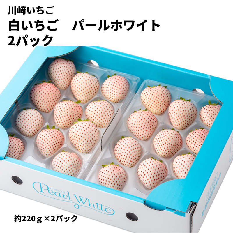 【産直商品】【直送】川﨑いちご　白いちご　パールホワイト　2パック