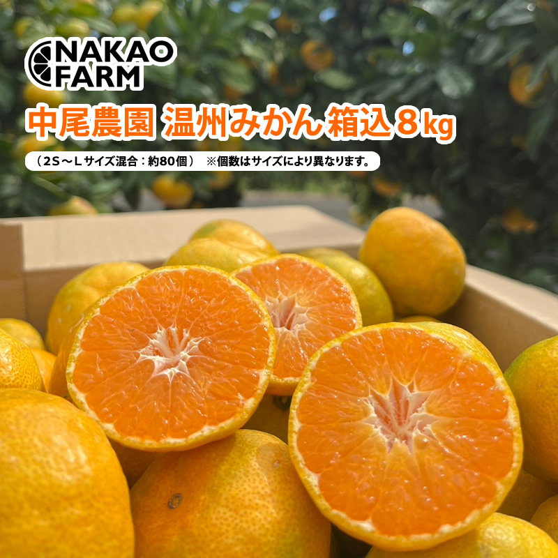 【産直商品】温州みかん箱込8kg　中尾農園