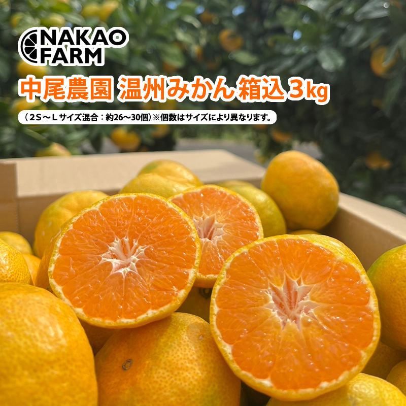 【産直商品】温州みかん箱込3kg　中尾農園