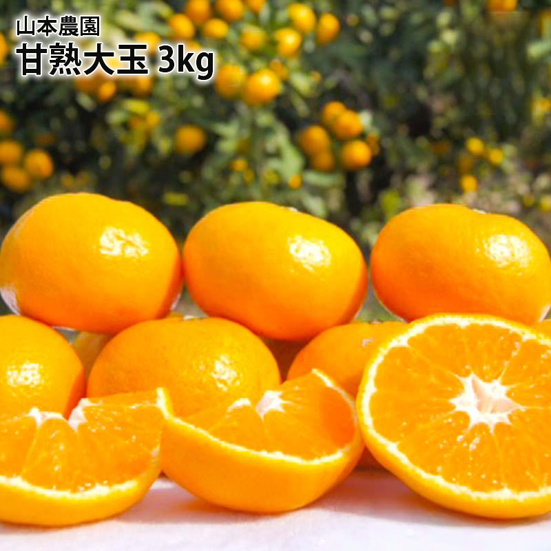 【産直商品】甘熟大玉　3kg　太良・山本農園