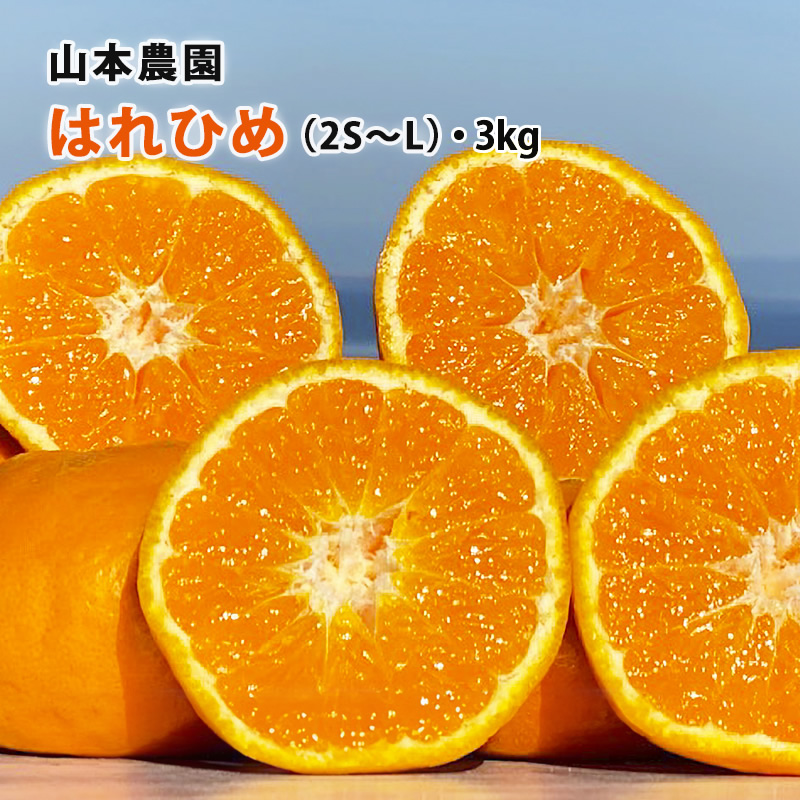 【産直商品】はれひめ　2S〜L・3kg　太良・山本農園