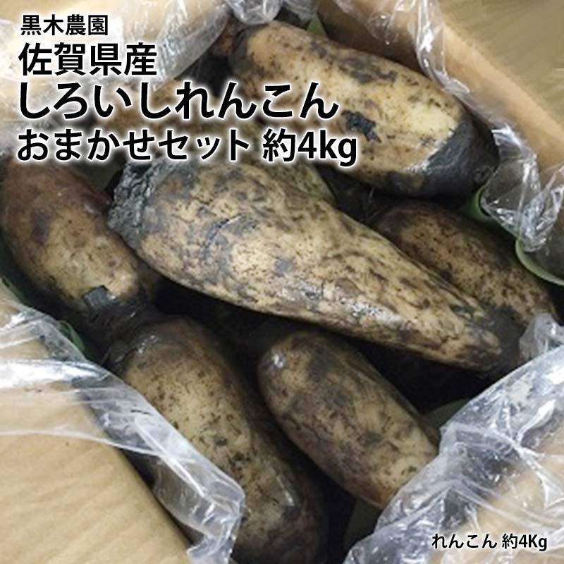 【産直商品】黒木農園おまかせセット　約４キロ