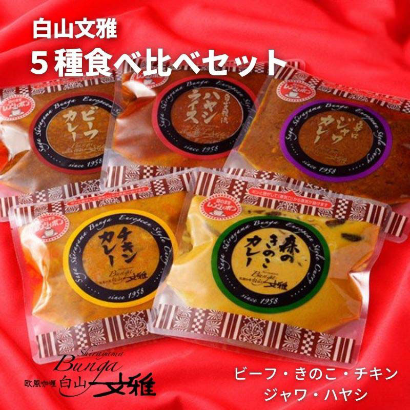 【産直商品】白山文雅　カレー5種食べ比べセット（ビーフ・きのこ・チキン・ジャワ・ハヤシ）